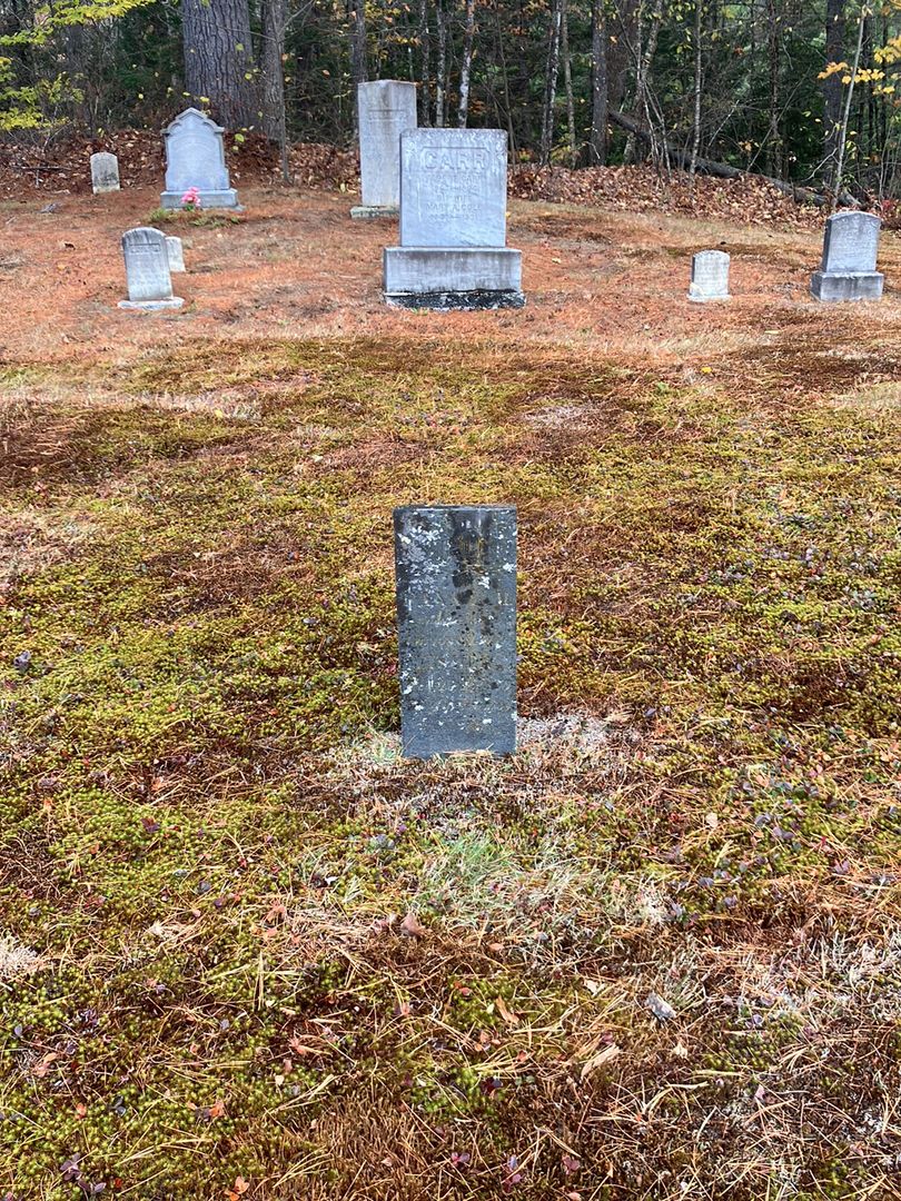 Fanny Fisher's grave. Photo 1