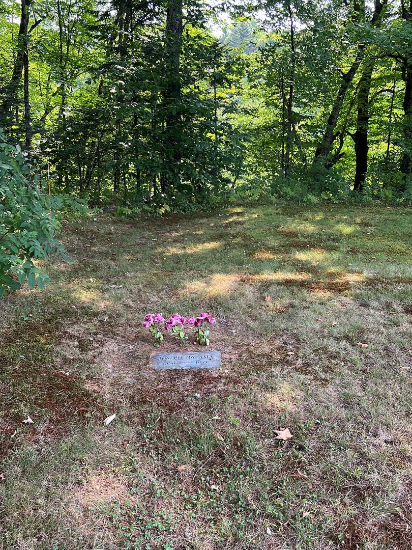 Joseph Halama's grave. Photo 1