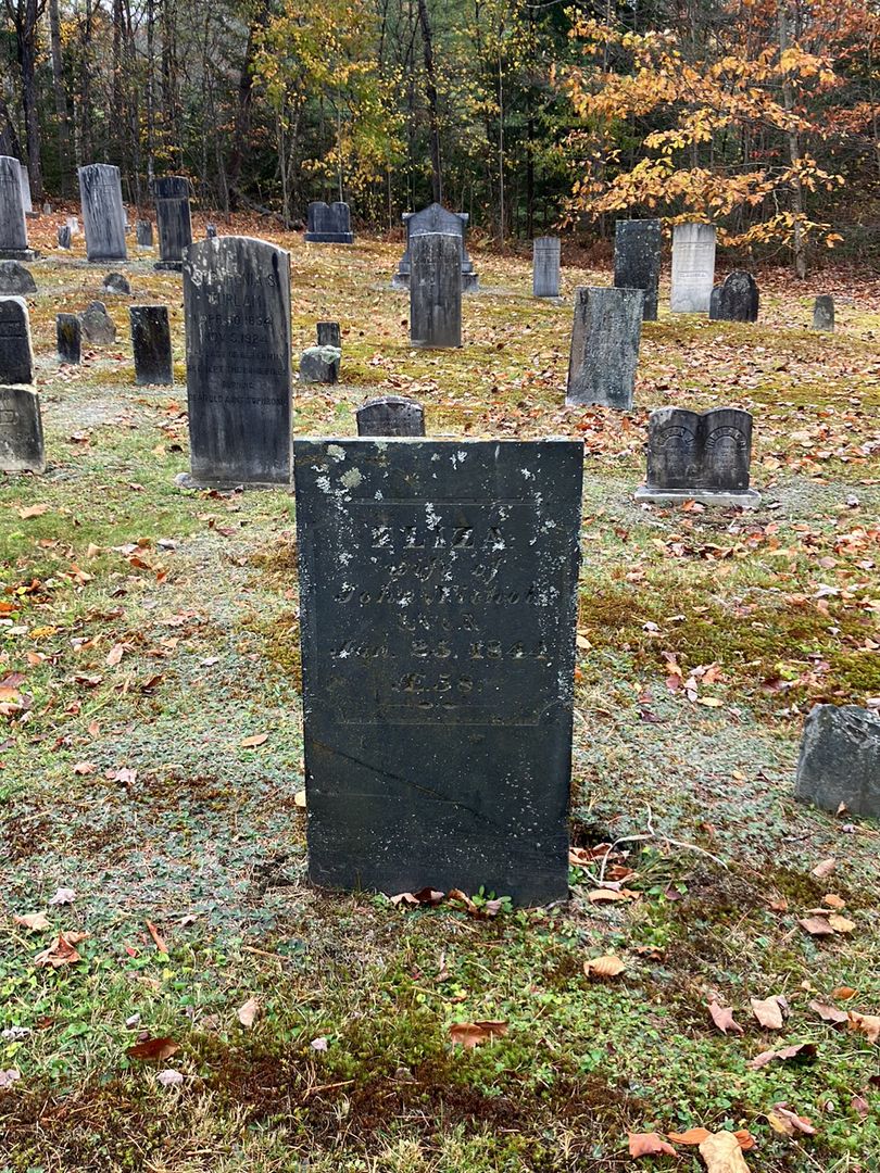 Eliza Nichols's grave. Photo 1