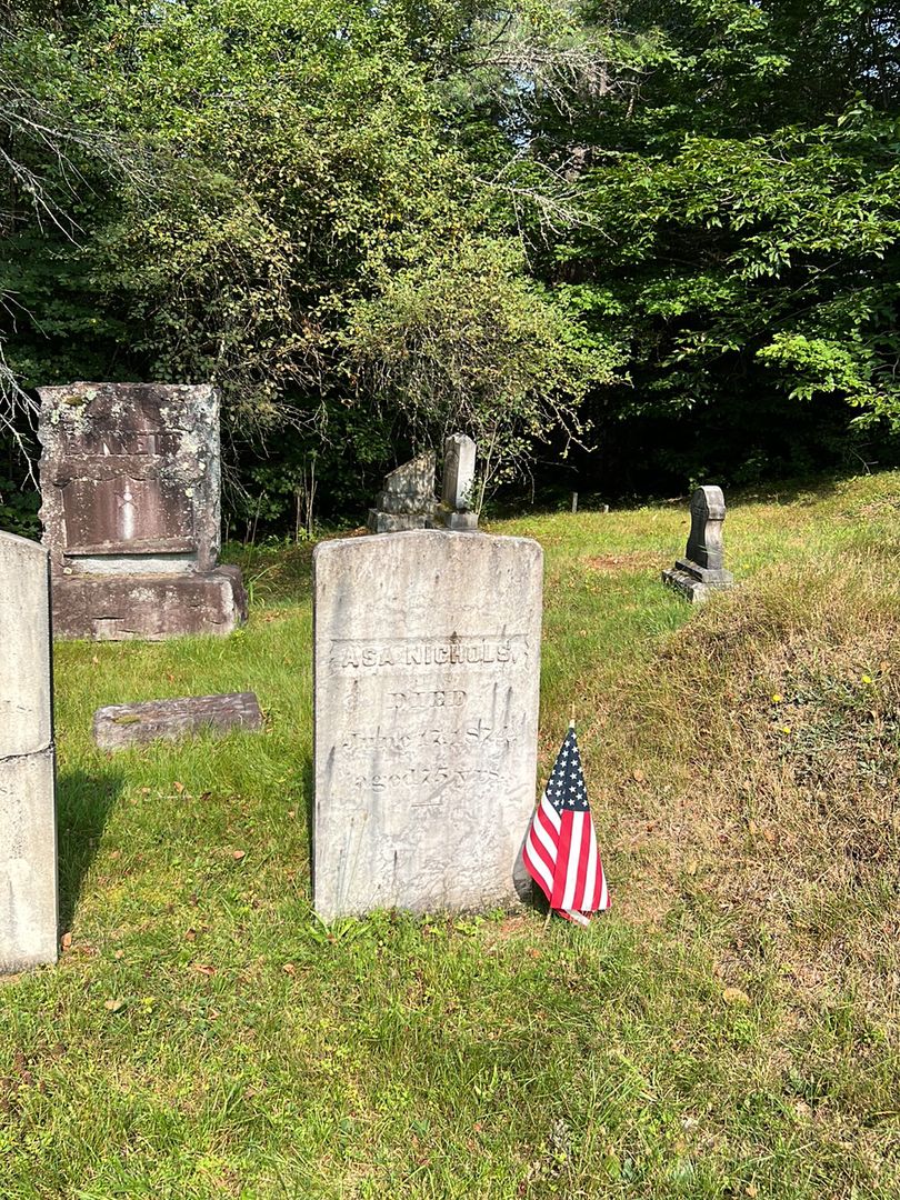 Asa Nichols's grave. Photo 1