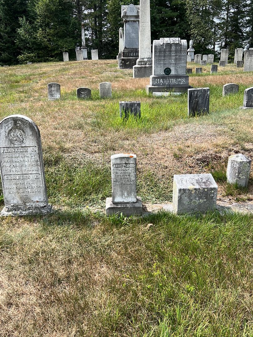 Harry Ferrell Folsom's grave. Photo 1