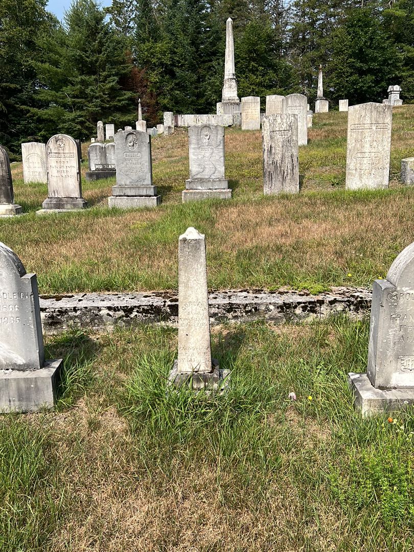 Corles S. Wadleigh's grave. Photo 1