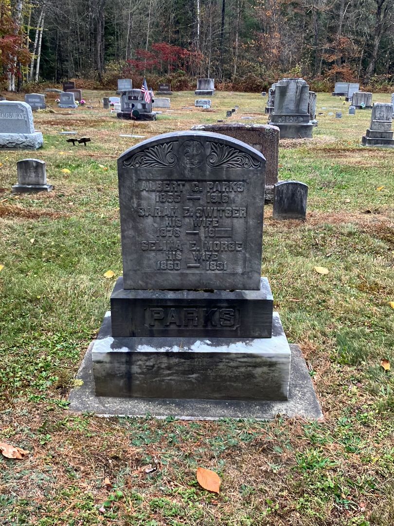 Albert C. Parks's grave. Photo 1