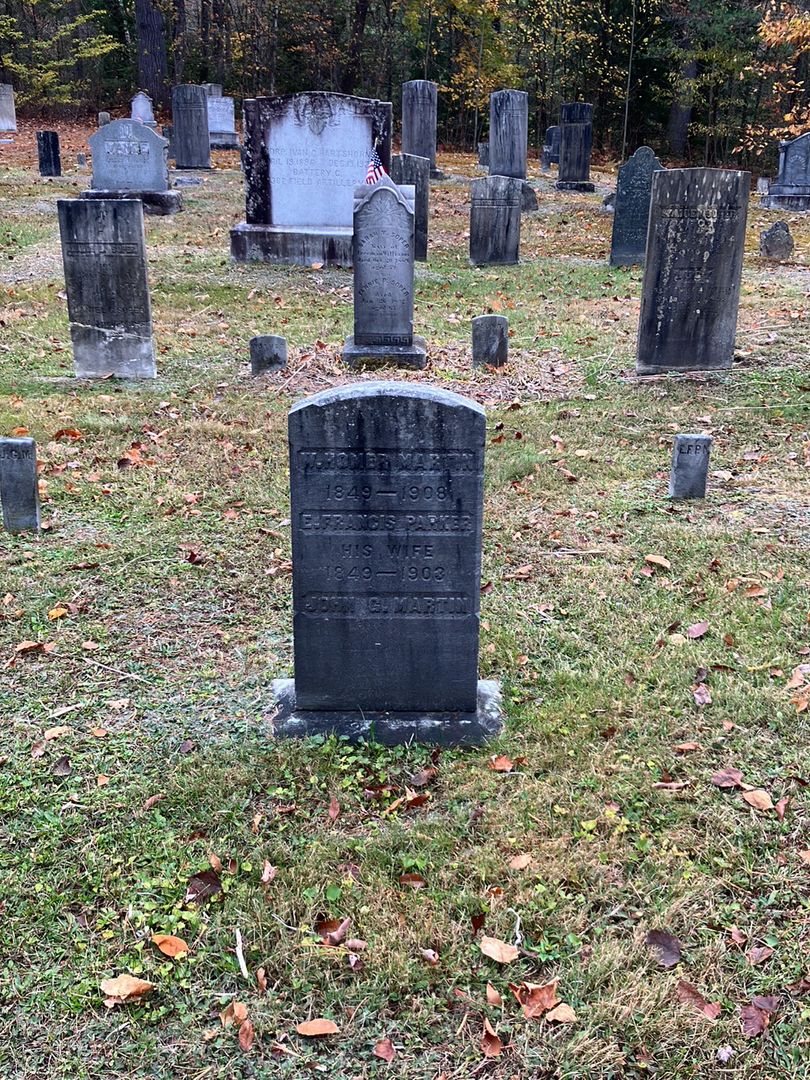 W. Homer Martin's grave. Photo 1