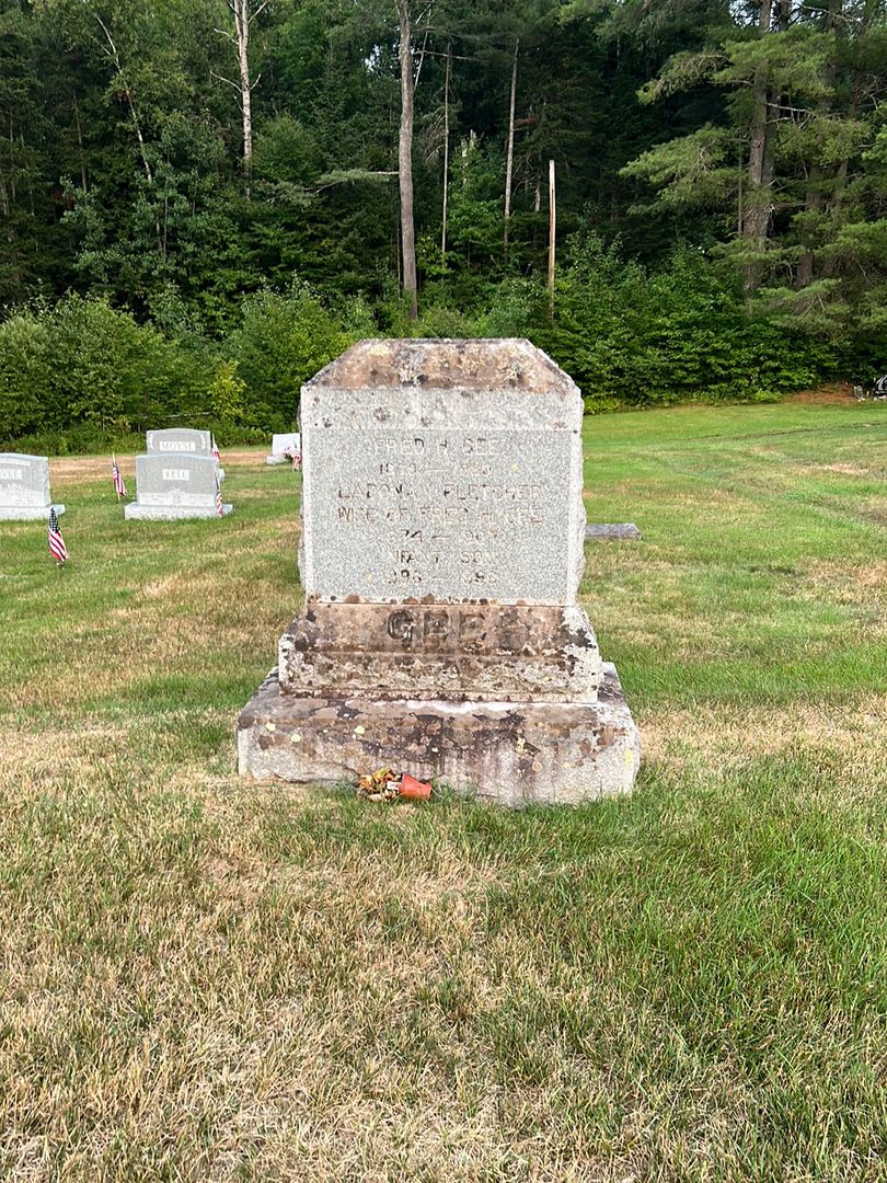 Baby Gee's grave. Photo 1