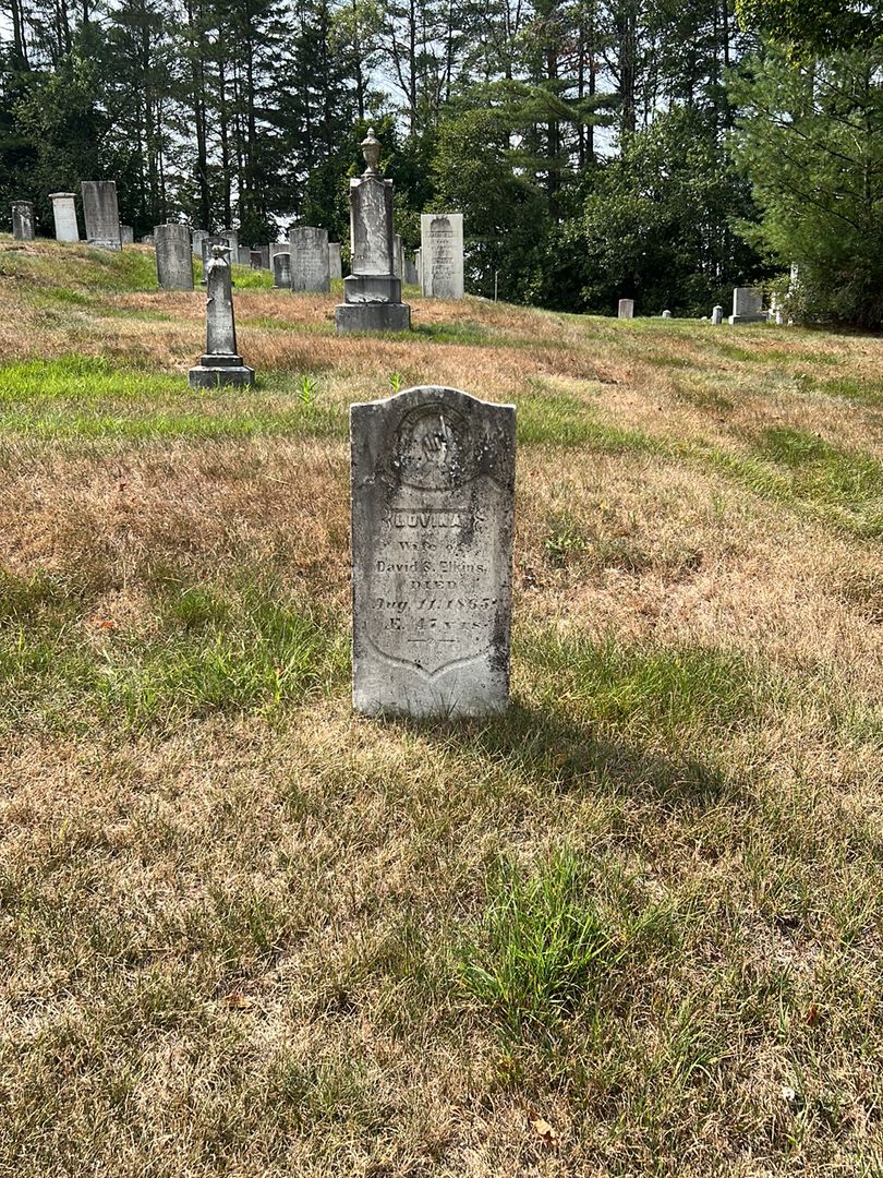 Lovina Elkins's grave. Photo 1