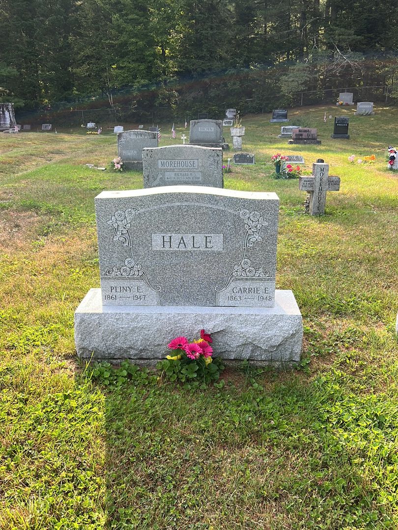 Pliny E. Hale's grave. Photo 1