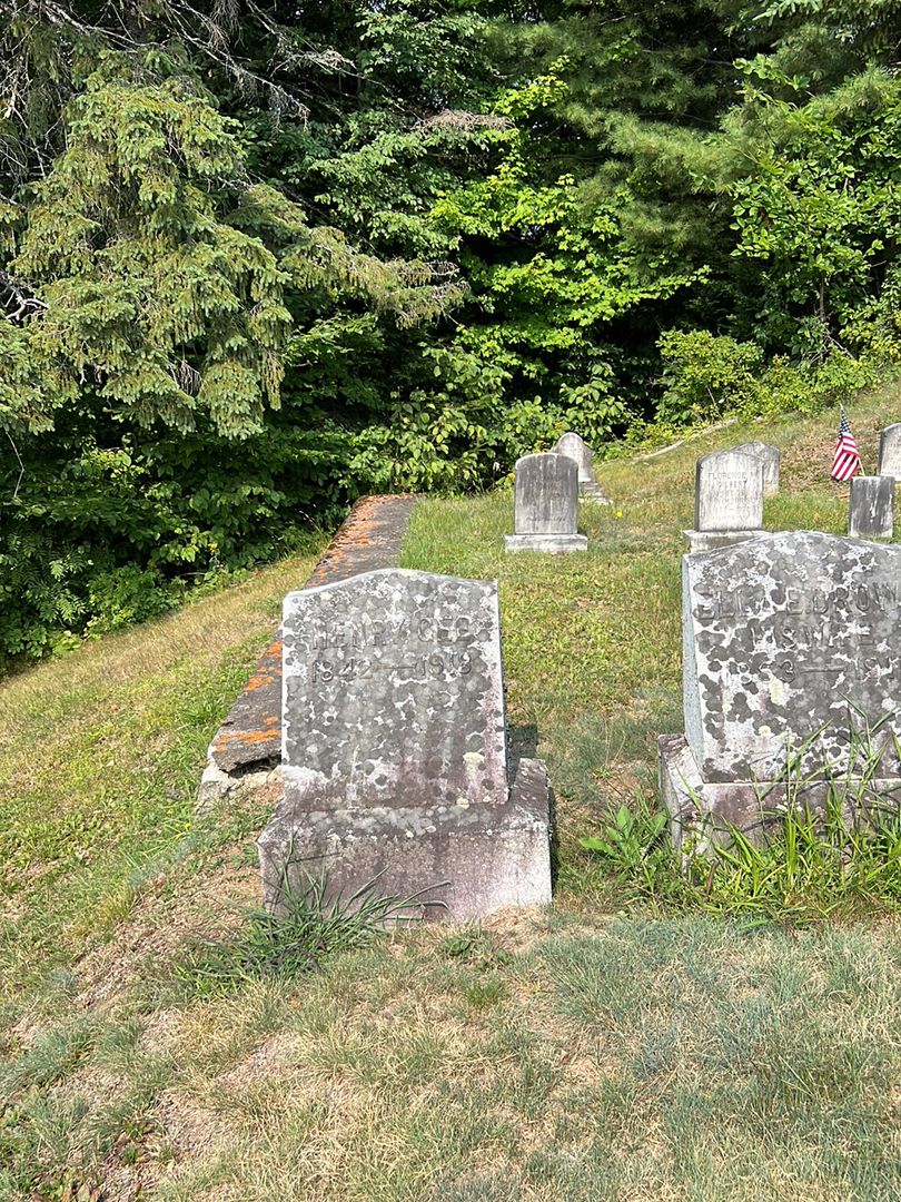 Henry Gee's grave. Photo 1