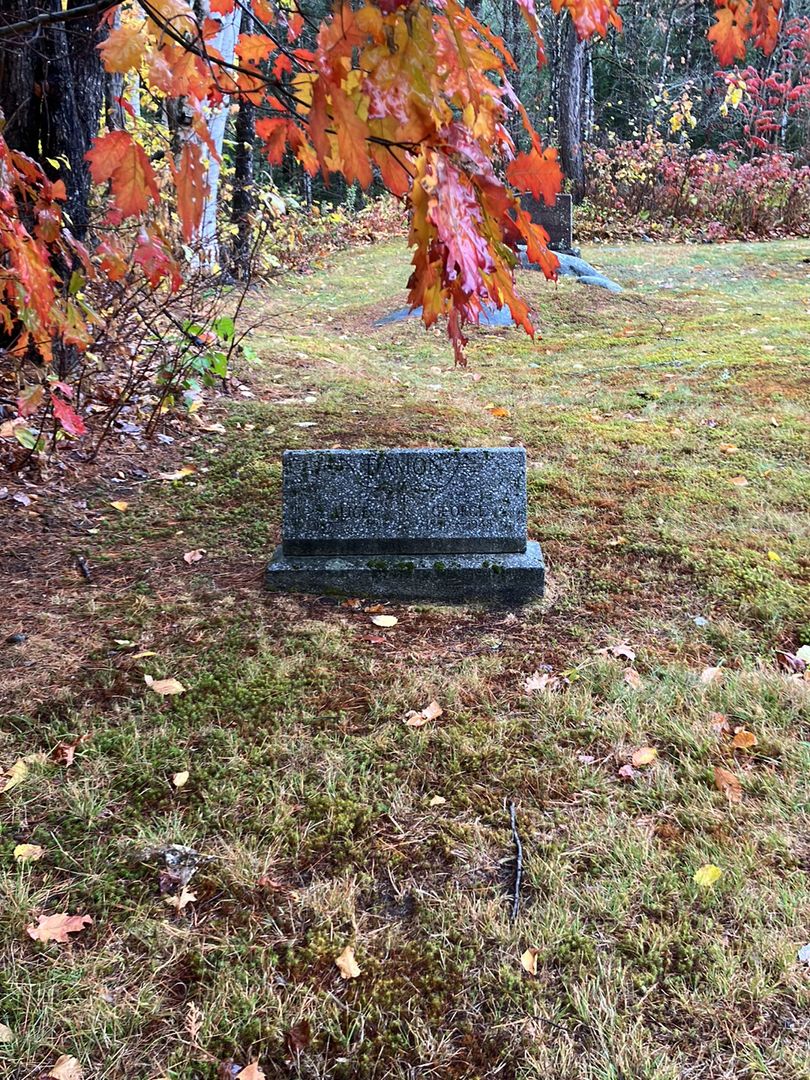 George Damon's grave. Photo 1