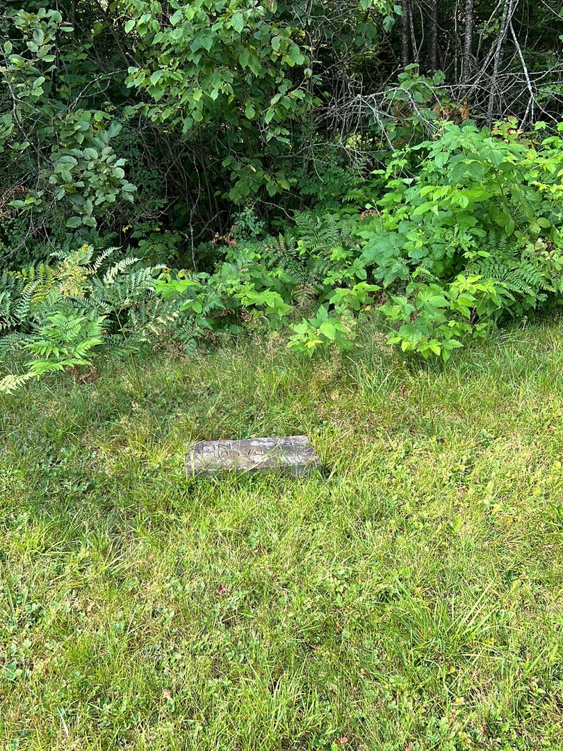 Jennie Palmer's grave. Photo 1