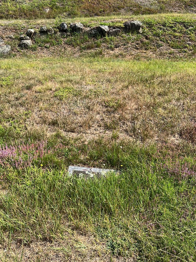 Ellen Elizabeth Young's grave. Photo 1