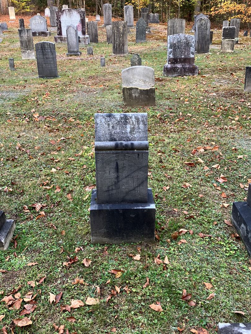 Nancy J. Wallace's grave. Photo 1