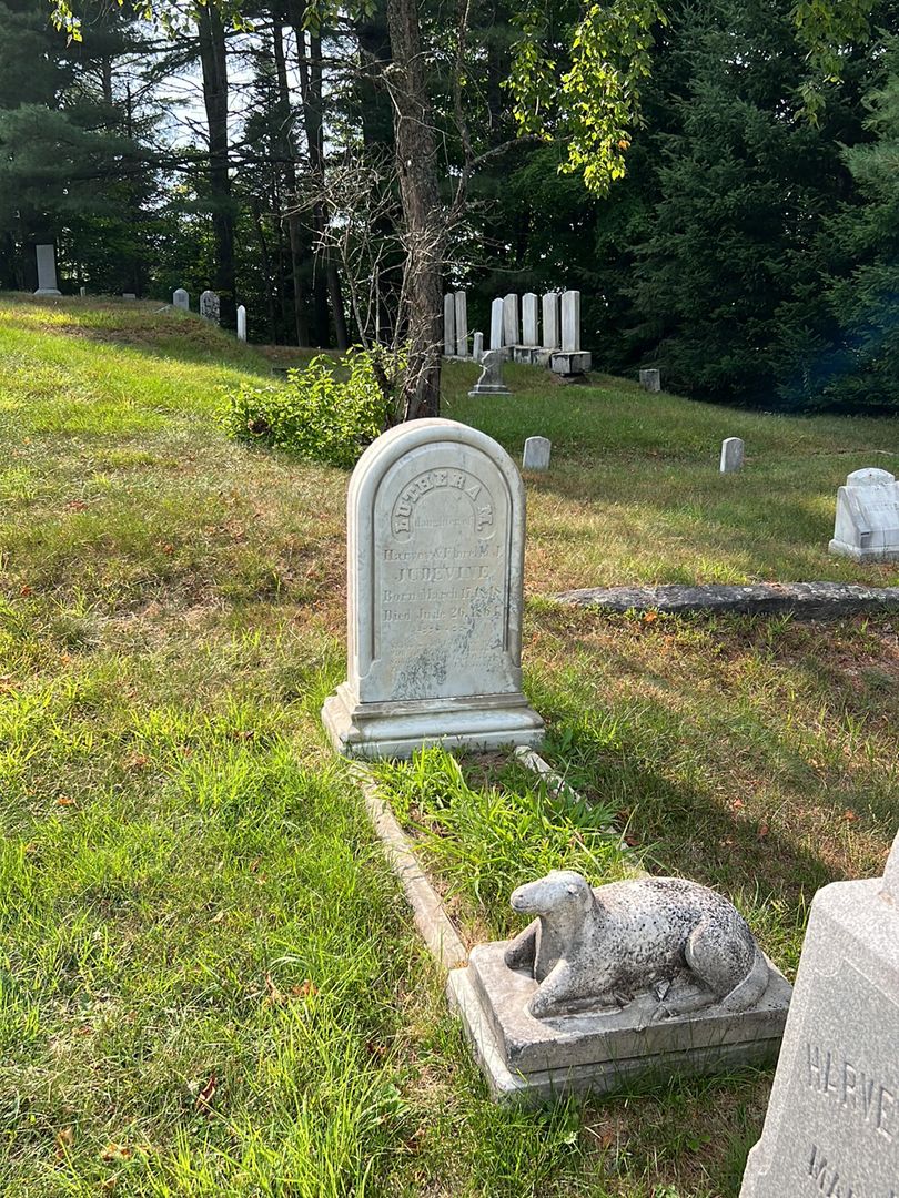 Luthera M. Judevine's grave. Photo 1