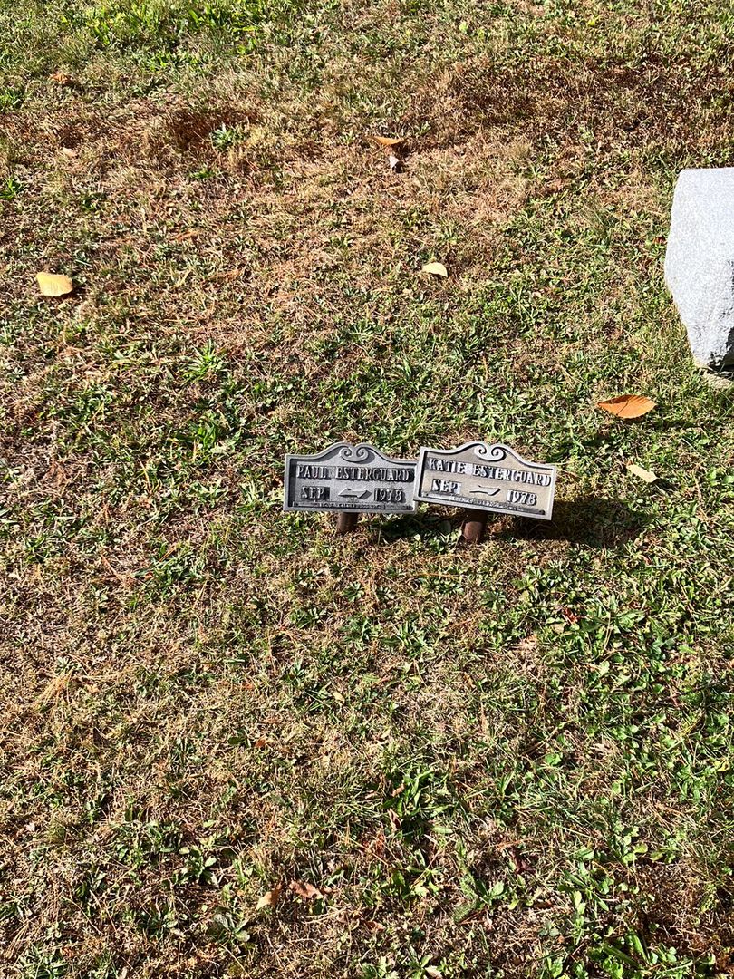 Paul Esterguard's grave. Photo 1