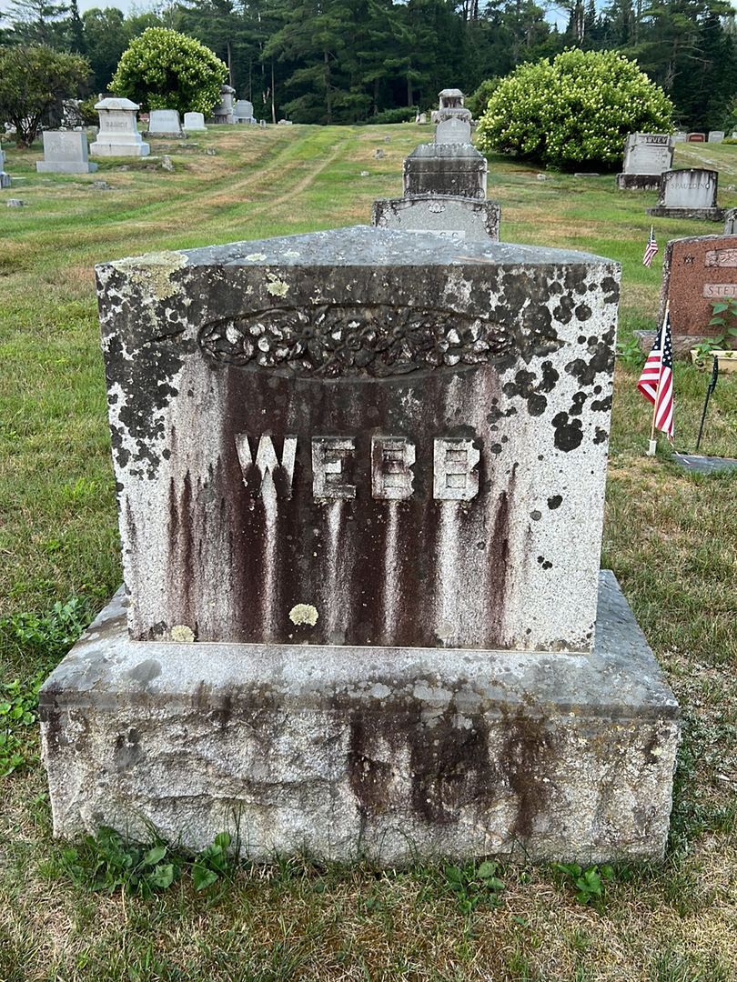 Edson I. Webb's grave. Photo 1