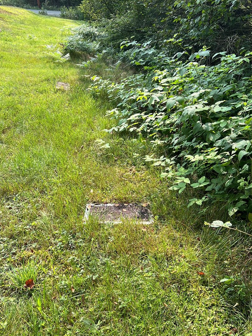 Ruth Joy Christie's grave. Photo 1