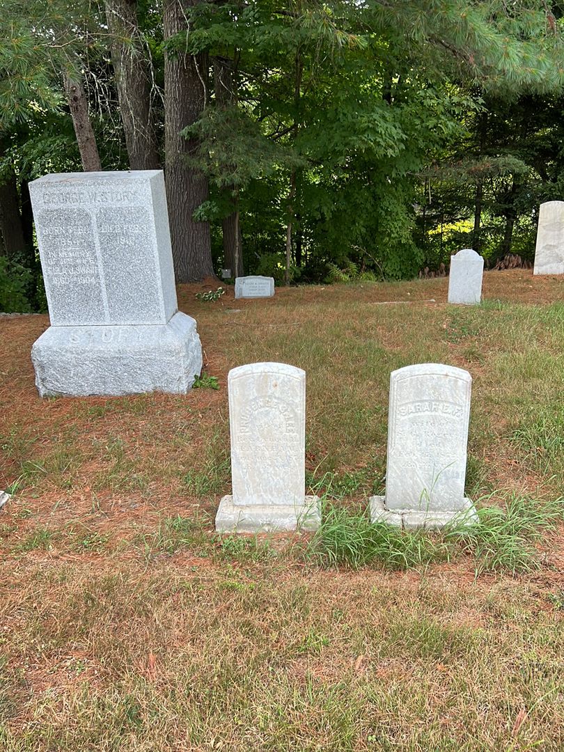 Prudence S. Lee Farnham's grave. Photo 1