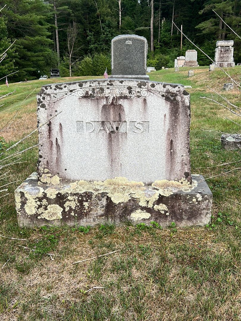 George H. Davis's grave. Photo 1