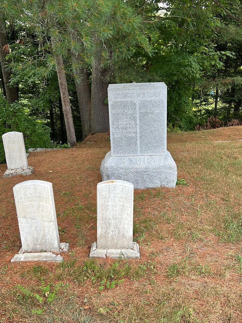 Delia May Farnham's grave. Photo 1