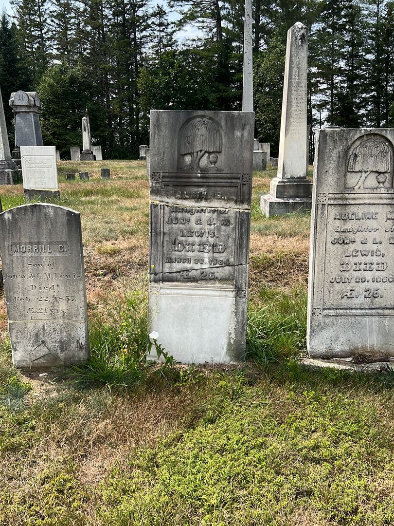 Alma E. Lewis's grave. Photo 1
