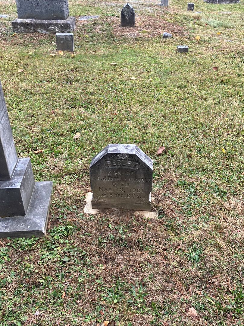 Perley Nichols's grave. Photo 1