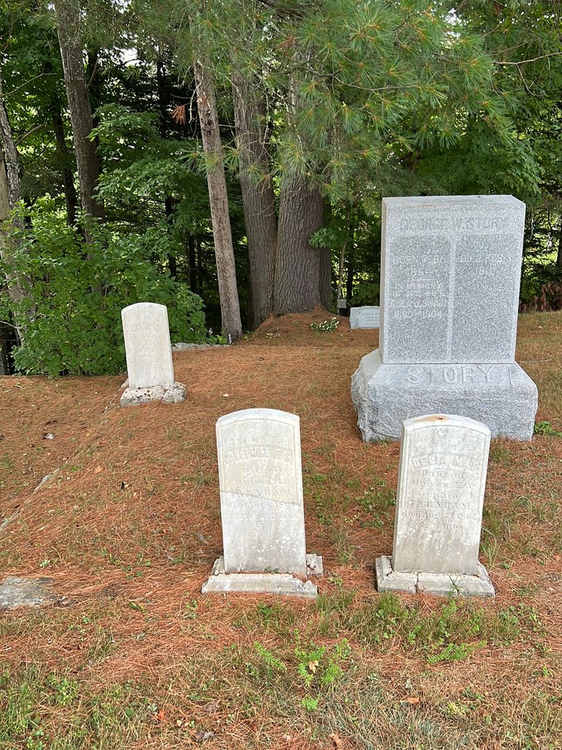 Josephine F. S. Farnham's grave. Photo 1