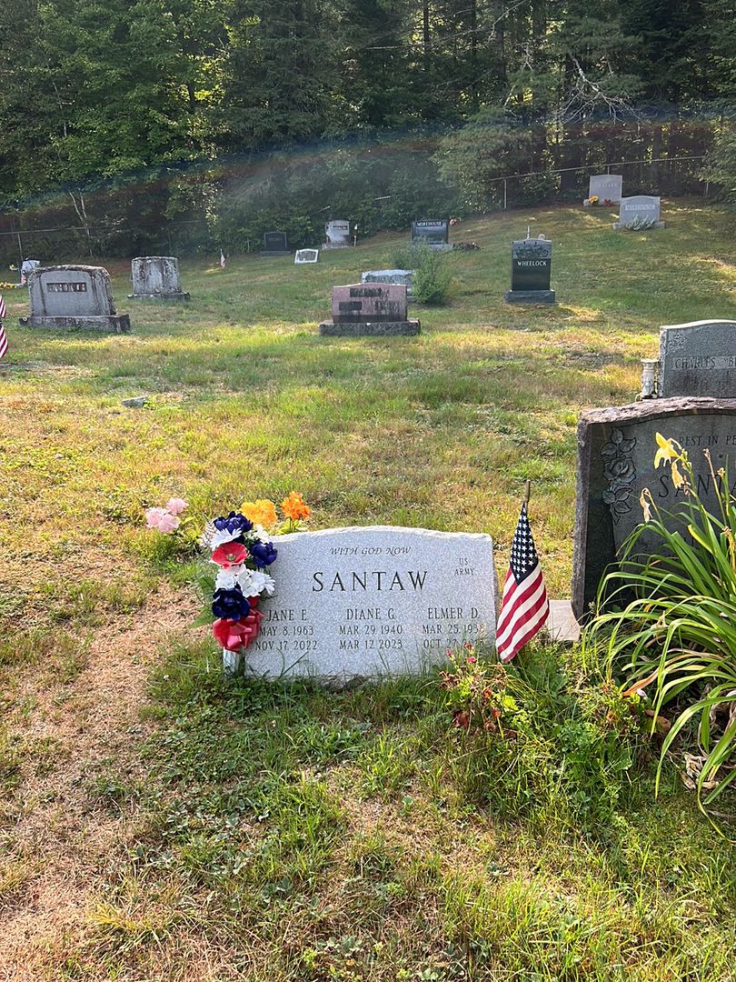 Jane E. Santaw's grave. Photo 1