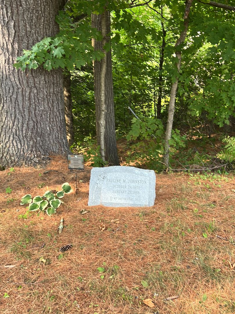 Pauline M. Johnston's grave. Photo 1