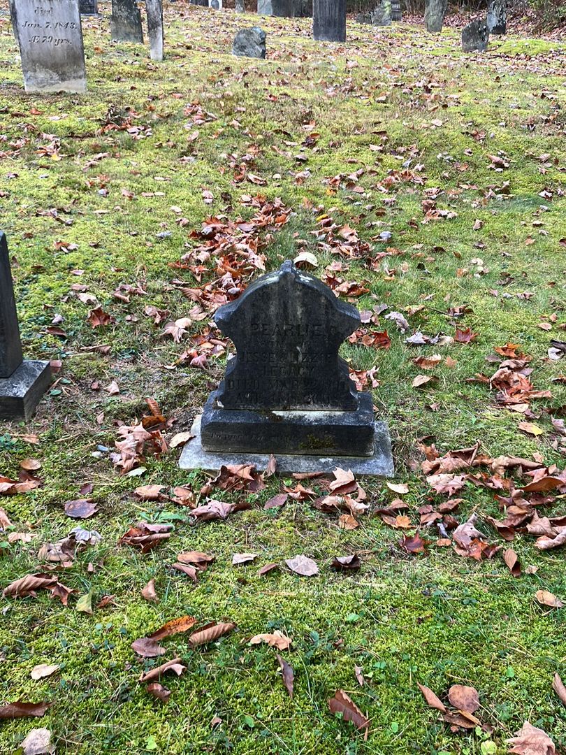 Pearlie Legacy's grave. Photo 1