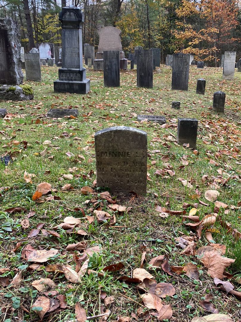 Minnie L. Smith's grave. Photo 1