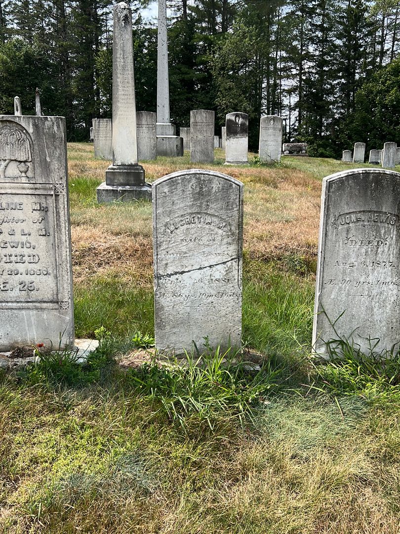Lucretia M. Lewis's grave. Photo 1