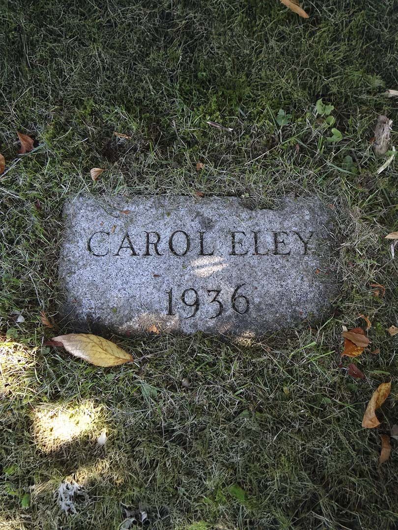 Carol Elaine Eley's grave
