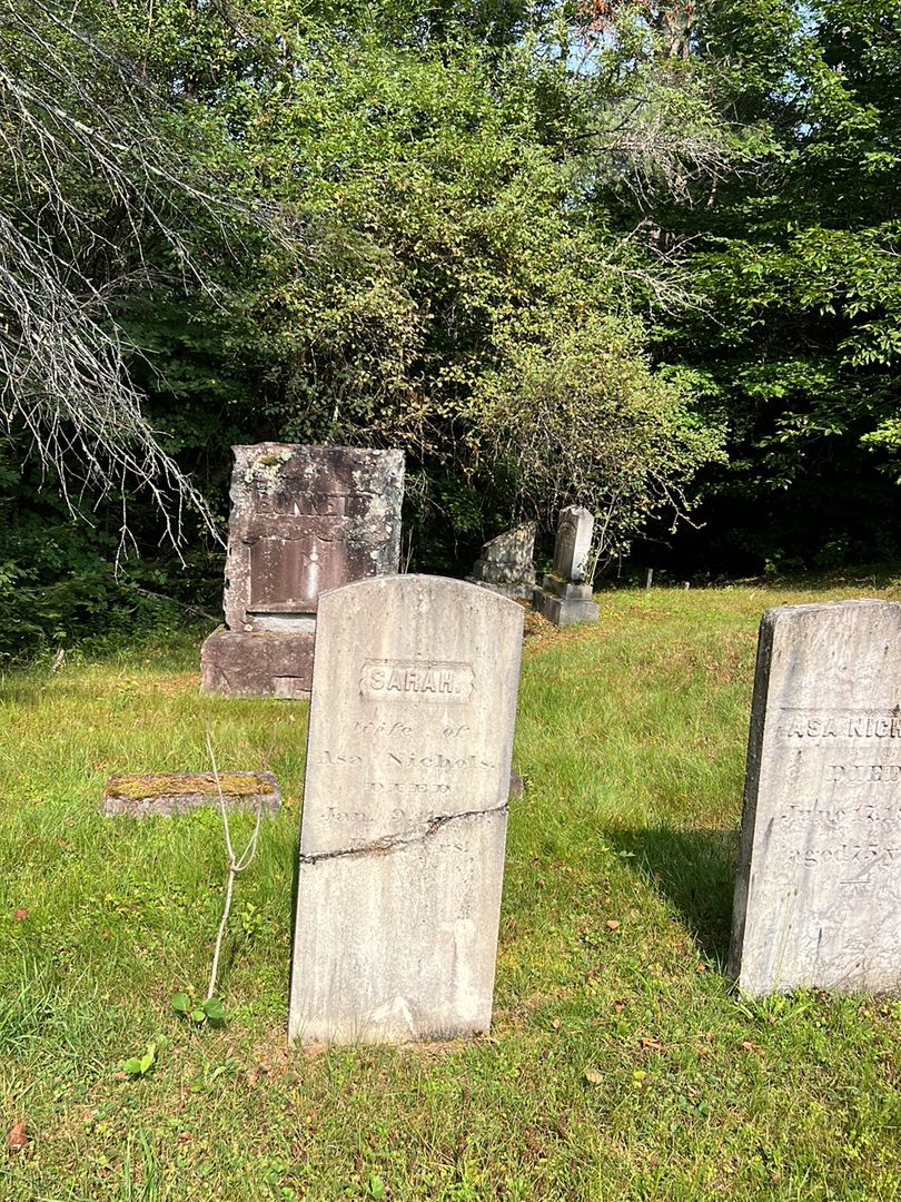 Sarah Nichols's grave. Photo 1