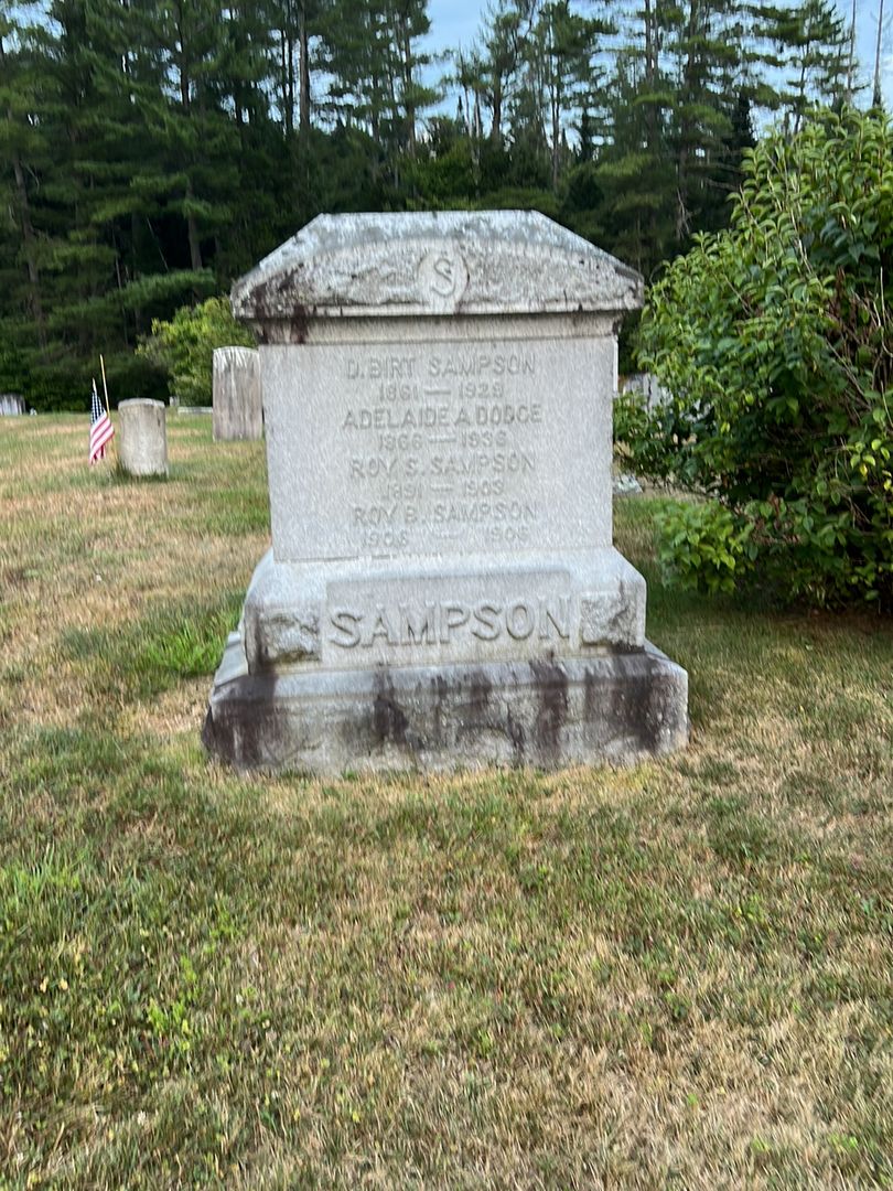 D. Birt Sampson's grave. Photo 1