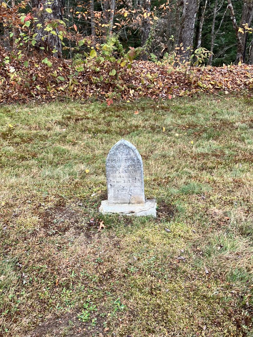 Sherbern G. Fisher's grave. Photo 1