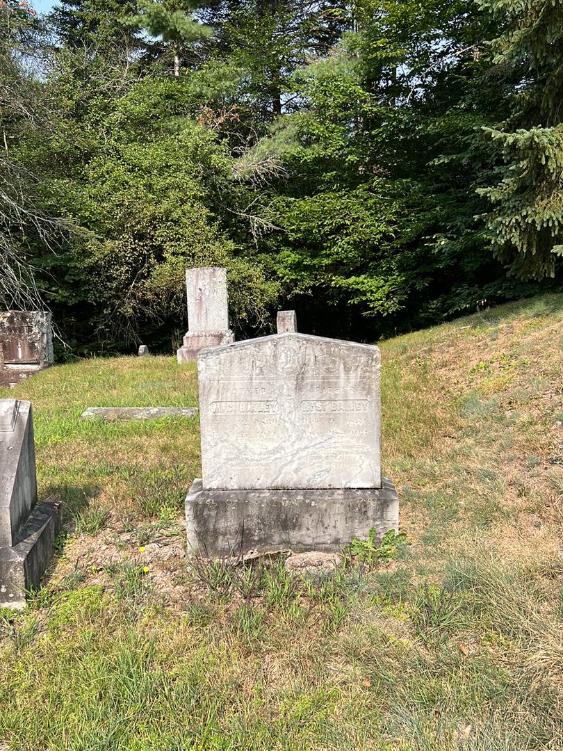 Robert Shaw Bailey's grave. Photo 1