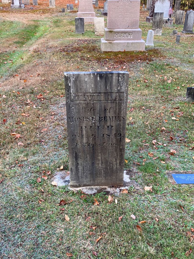 Elvira A. Bemies's grave. Photo 1
