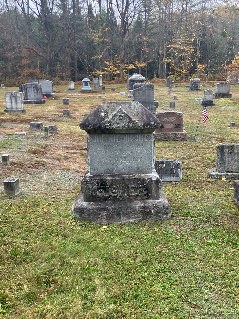 Albert H. Fisher's grave. Photo 1