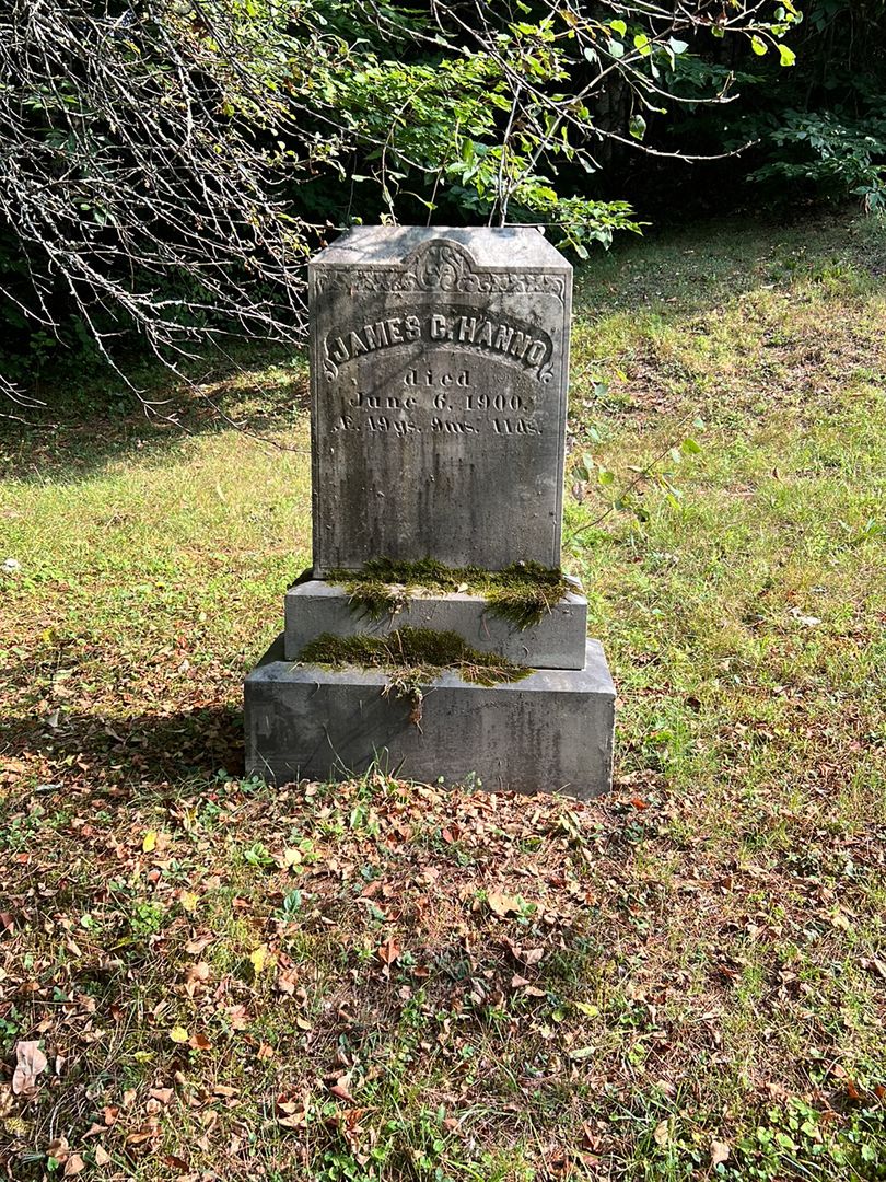 James C. Hanno's grave. Photo 1