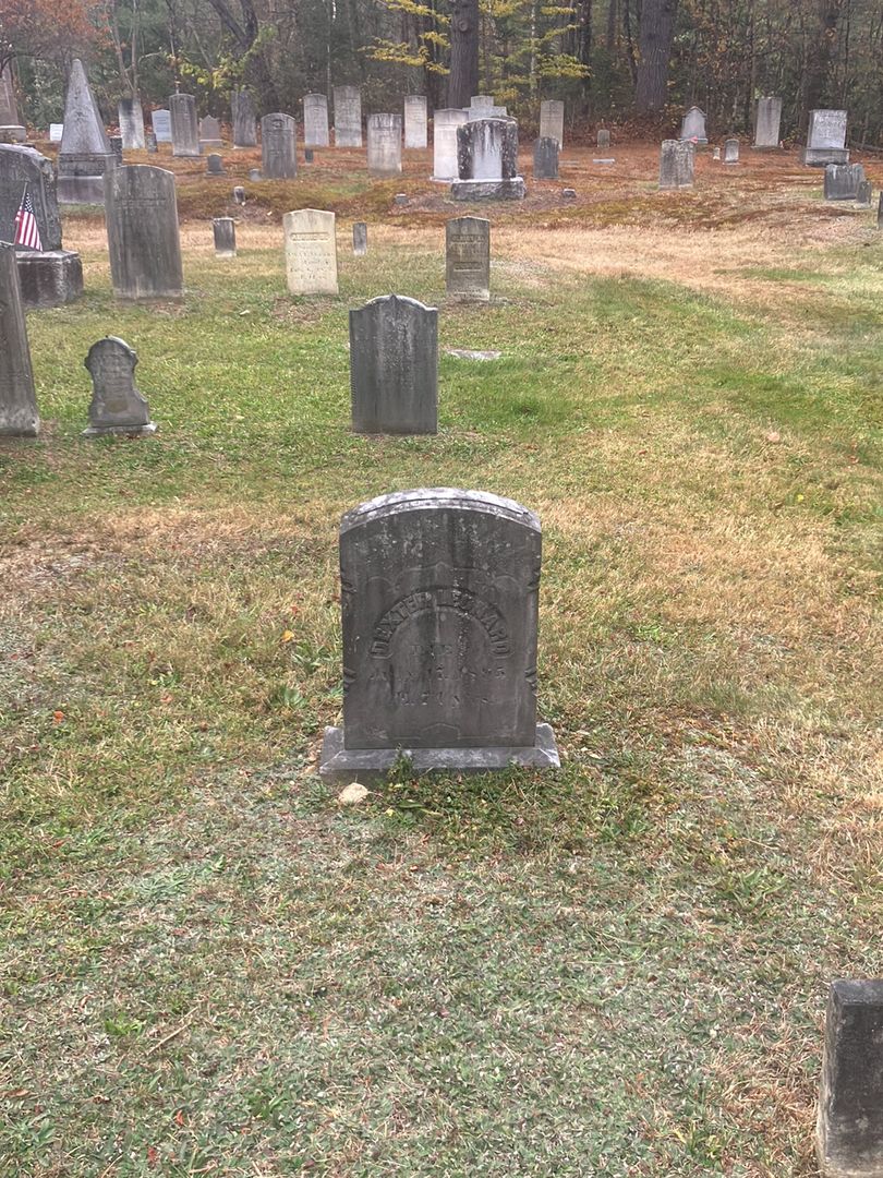 Dexter Leonard's grave. Photo 1