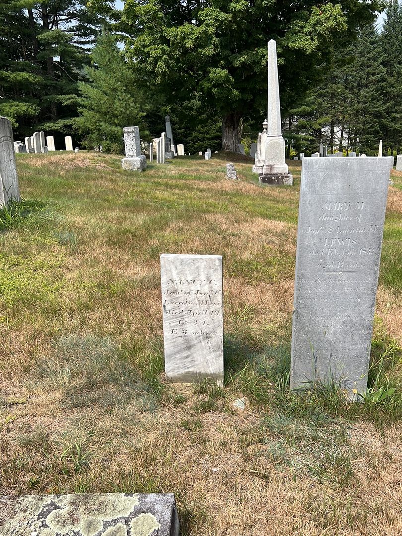 Nancy C. Lewis's grave. Photo 1