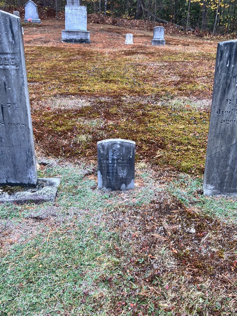 Elsworth M. Damon's grave. Photo 1