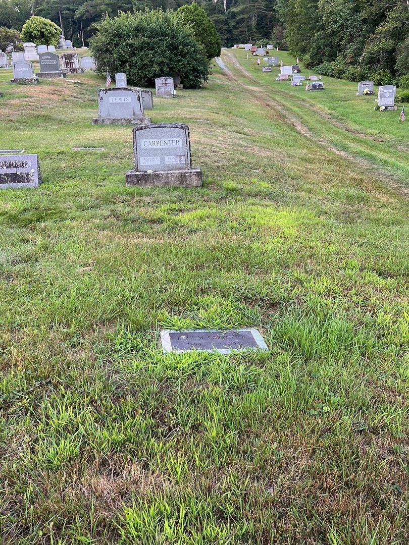 Dale W. Carpenter's grave. Photo 1
