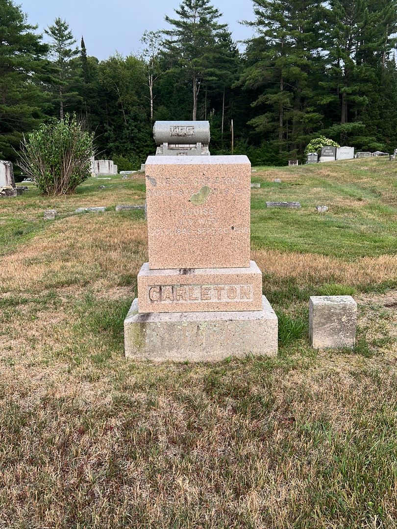 Jesse Carleton's grave. Photo 1