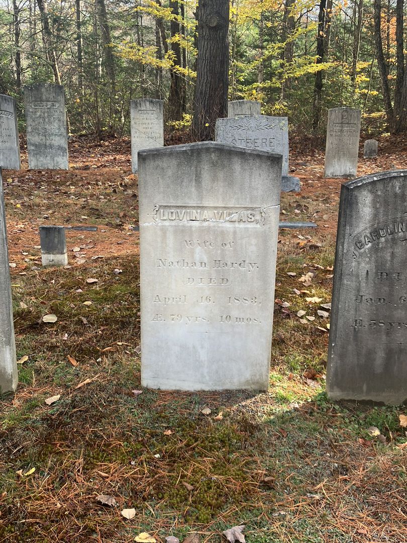 Lovina Vilas Hardy's grave. Photo 1