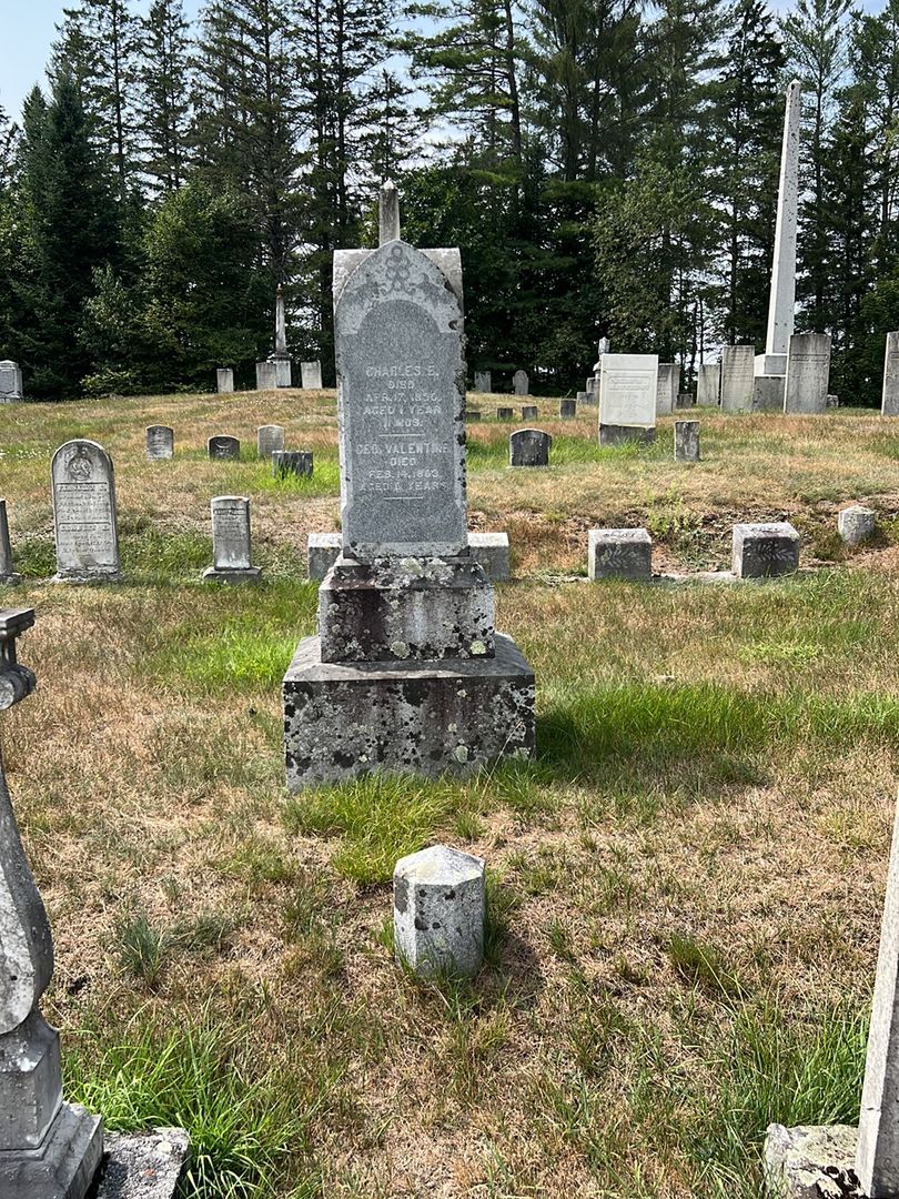 George Valentine Folsom's grave. Photo 1