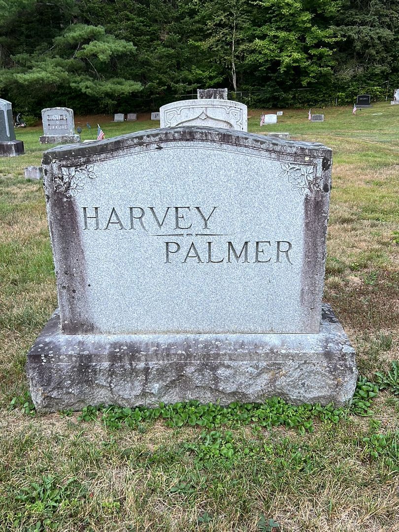 Martha A. Palmer's grave. Photo 1